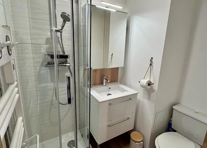 Apartament Aux Pieds Des Pistes De Belle Etoile 1650 M *