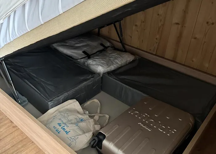 Aux Pieds Des Pistes De Belle Etoile 1650 M * Les Deux Alpes